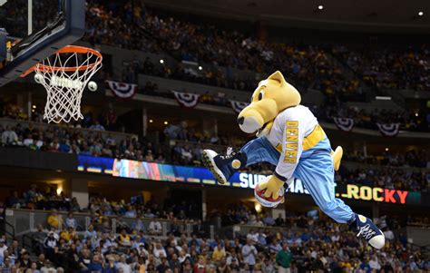 Nuggets mascot suspended in mid air
